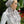 Load image into Gallery viewer, CLASSIC PRETIED Delicate Cream Floral Toile Head Scarf (WITH VELVET GRIP)
