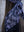 Midnight Butterfly Square Head Scarf