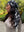 Butterfly Noir Square Head Scarf