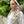 Load image into Gallery viewer, SB CLASSIC PRETIED Neutral Garden (with Velvet Grip)
