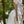 Load image into Gallery viewer, Watercolor Butterfly Square Head Scarf
