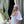 Load image into Gallery viewer, Pink Blossom on Cream Square Head Scarf
