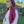 Load image into Gallery viewer, Classic Suede Pretied Merlot (with Velvet Grip)
