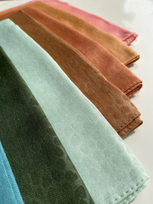 Limited Edition SB Matte Finished Solids