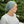 Load image into Gallery viewer, Classic Butter Soft Ribbed Beanie with Velvet Grip
