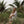 Load image into Gallery viewer, SB Neutral Garden Head Scarf
