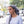 Load image into Gallery viewer, SB Shimmers Stitched Ends
